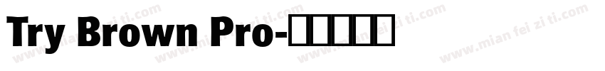 Try Brown Pro字体转换